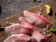 台灣鯛魚雙背魚排