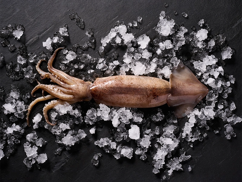 阿根廷特大生魷魚